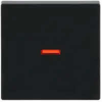 Busch-Jaeger schakelwip controlevenster rood Future Linear antraciet glans (1789-81)