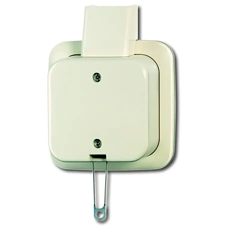 Busch-Jaeger trekschakelaar wissel K/P-25 opbouw AP plus creme (2610/6 APJ)