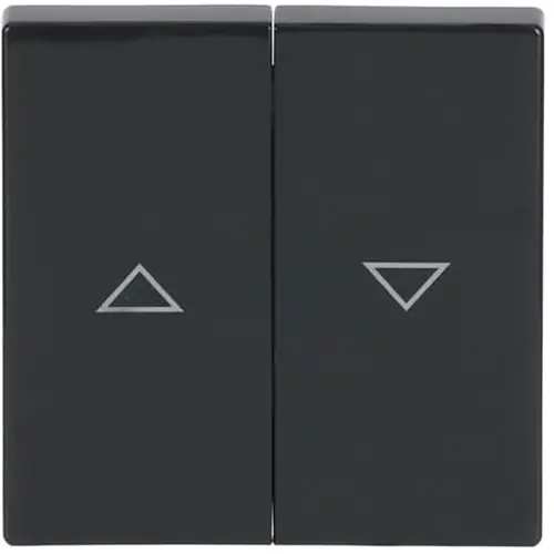 Busch-Jaeger wip jaloezieschakelaar 2-voudig antraciet glans (1785 JA-81)