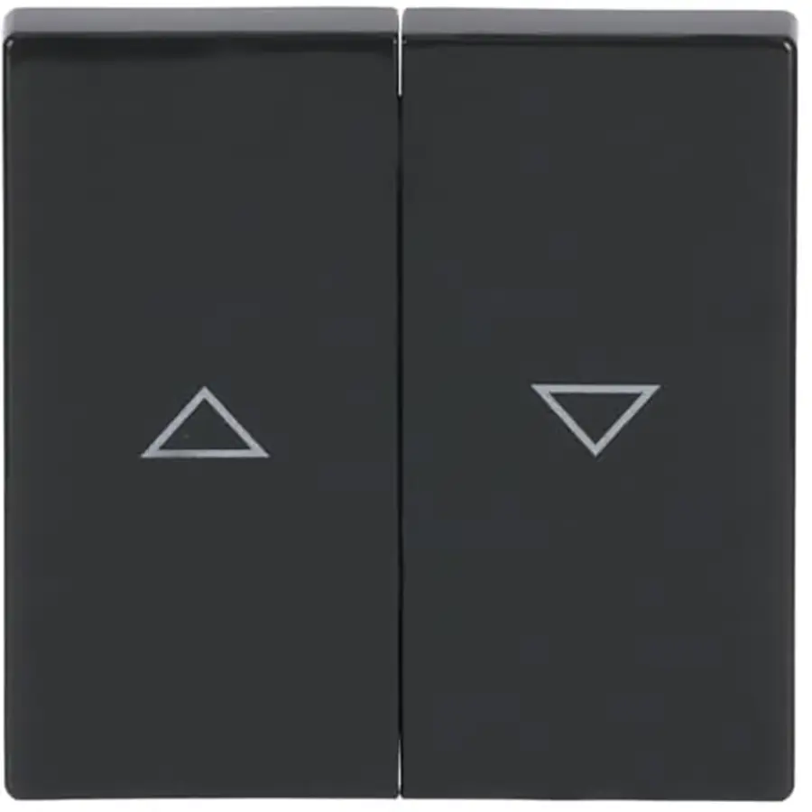 Busch-Jaeger wip jaloezieschakelaar 2-voudig antraciet glans (1785 JA-81)