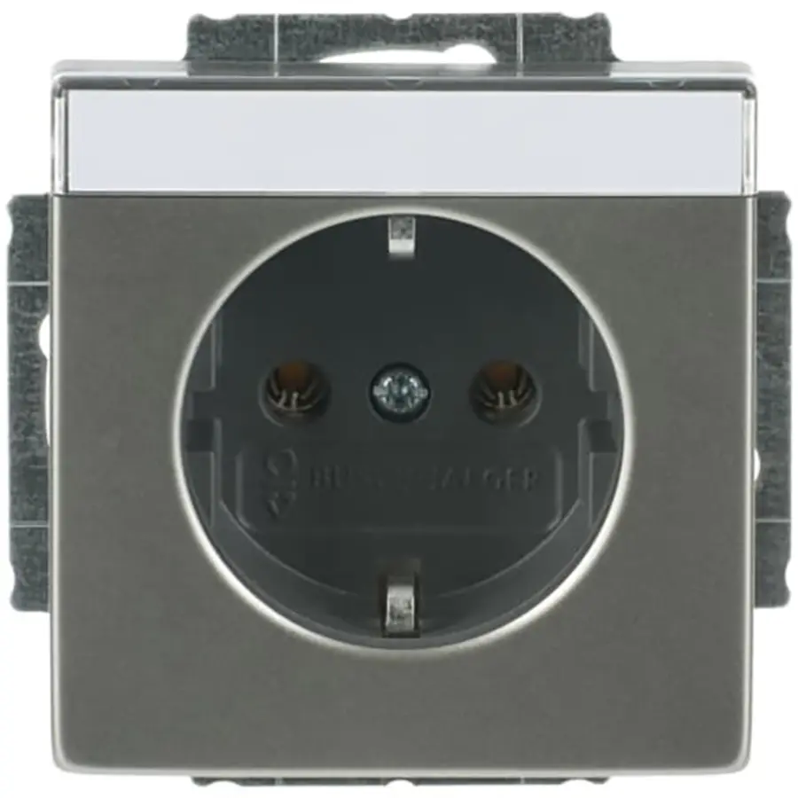 Busch-Jaeger wandcontactdoos randaarde tekstkader Pure Stainless Steel (20 EUN-866)