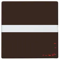 Busch-Jaeger tkstwip wis/2p/pls ip44 brn (2106 N-31)