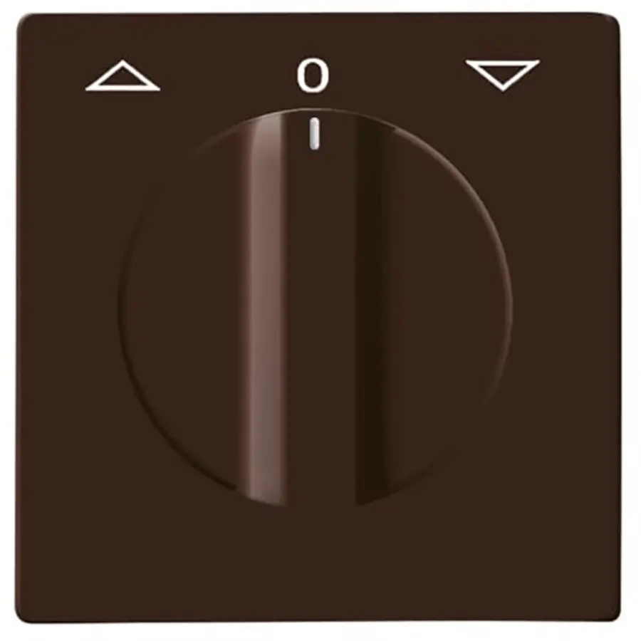 Busch-Jaeger cpl+knop jal draai ip44 brn (2142 DR-31)