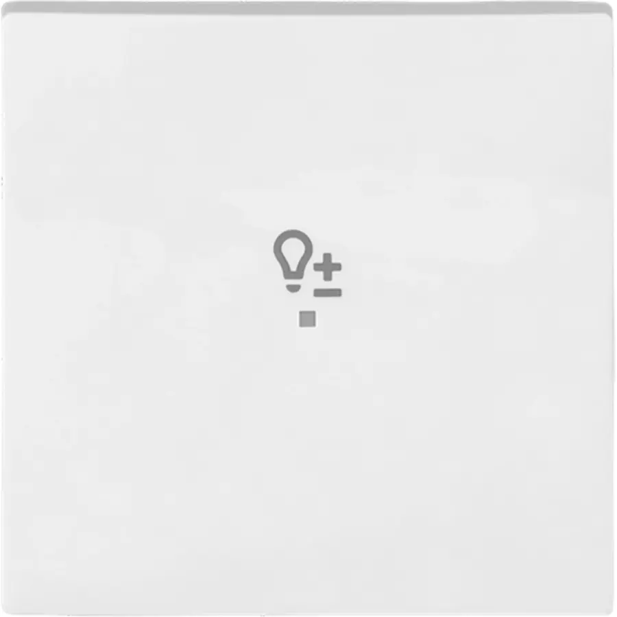 Busch-Jaeger bedieningswip 1-voudig met symbool dimmer Balance SI (6234-10-914)