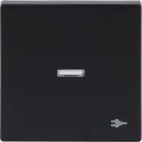 Busch-Jaeger schakelwip controlevenster symbool stekker Future Linear antraciet glans (1789 ST-81)