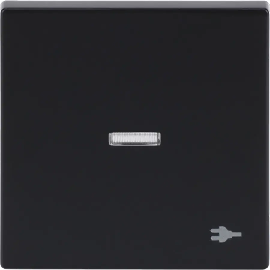 Busch-Jaeger schakelwip controlevenster symbool stekker Future Linear antraciet glans (1789 ST-81)