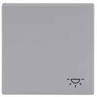 Busch-Jaeger schakelwip symbool licht Future Linear aluzilver (2520 LI-83)