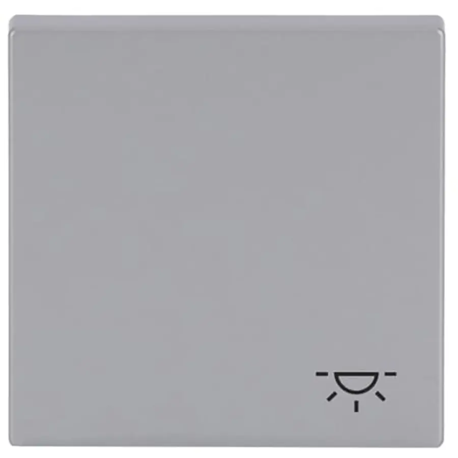 Busch-Jaeger schakelwip symbool licht Future Linear aluzilver (2520 LI-83)