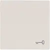 Busch-Jaeger schakelwip met sleutel symbool Future Linear creme (2520 TR-82) Busch-Jaeger schakelwip met sleutel symbool Future Linear creme (2520 TR-82)