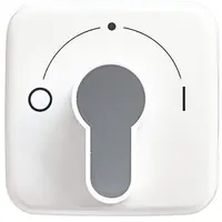 Busch-Jaeger afdekking met opdruk voor inbouwsleutelschakelaar Reflex SI (2557 SLPZ-214-101)