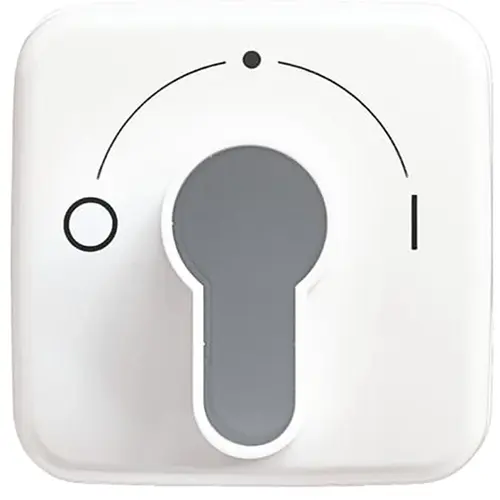 Busch-Jaeger afdekking met opdruk voor inbouwsleutelschakelaar Reflex SI (2557 SLPZ-214-101)