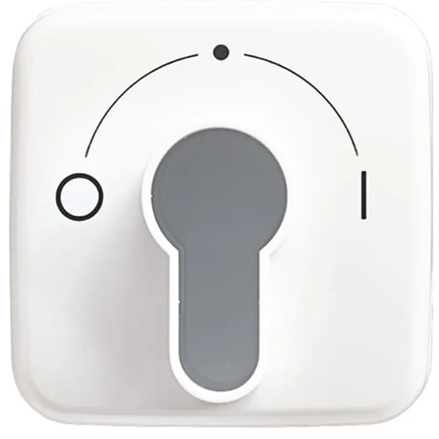 Busch-Jaeger afdekking met opdruk voor inbouwsleutelschakelaar Reflex SI (2557 SLPZ-214-101)