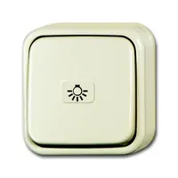 Busch-Jaeger wisselschakelaar met nalichtend symbool licht opbouw AP plus creme (2601/6 APLI/11-503)