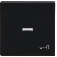 Busch-Jaeger schakelwip controlevenster symbool sleutel Future Linear zwart mat (1789 TR-885)