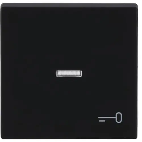 Busch-Jaeger schakelwip controlevenster symbool sleutel Future Linear zwart mat (1789 TR-885)