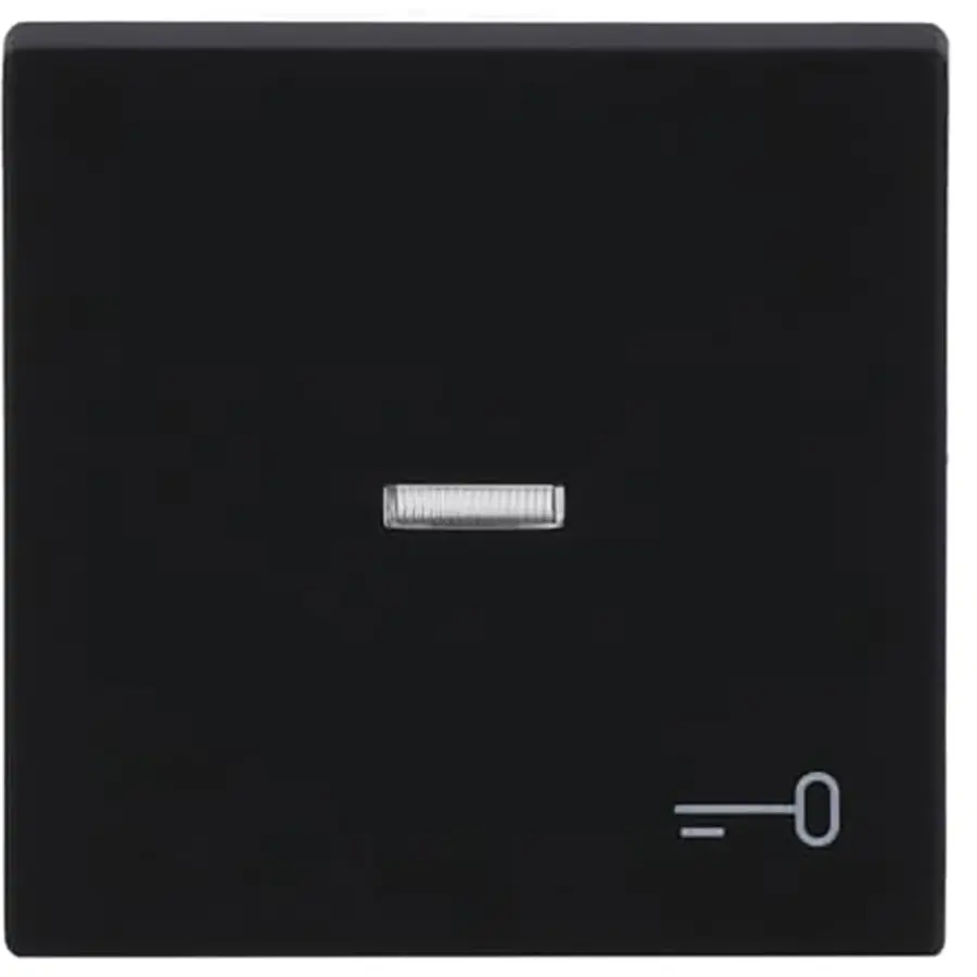 Busch-Jaeger schakelwip controlevenster symbool sleutel Future Linear zwart mat (1789 TR-885)