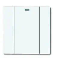 Busch-Jaeger wandzend 1k 6731-84 stw wl (6731-84-500)