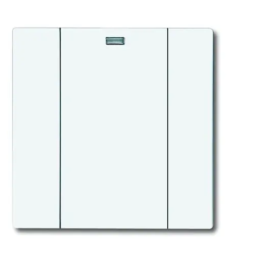 Busch-Jaeger wandzend 1k 6731-84 stw wl (6731-84-500)