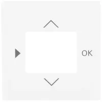 Busch-Jaeger centraalplaat voor timer en thermostaat studiowit mat (6435-884)