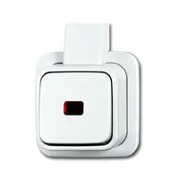 Busch-Jaeger wipschakelaar 1-polig met controlelamp K/P-25 opbouw AP plus wit (2601/6 skapjw)