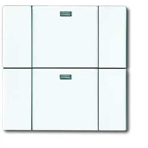 Busch-Jaeger wandzend 2k 6732-84 stw wl (6732-84-500)