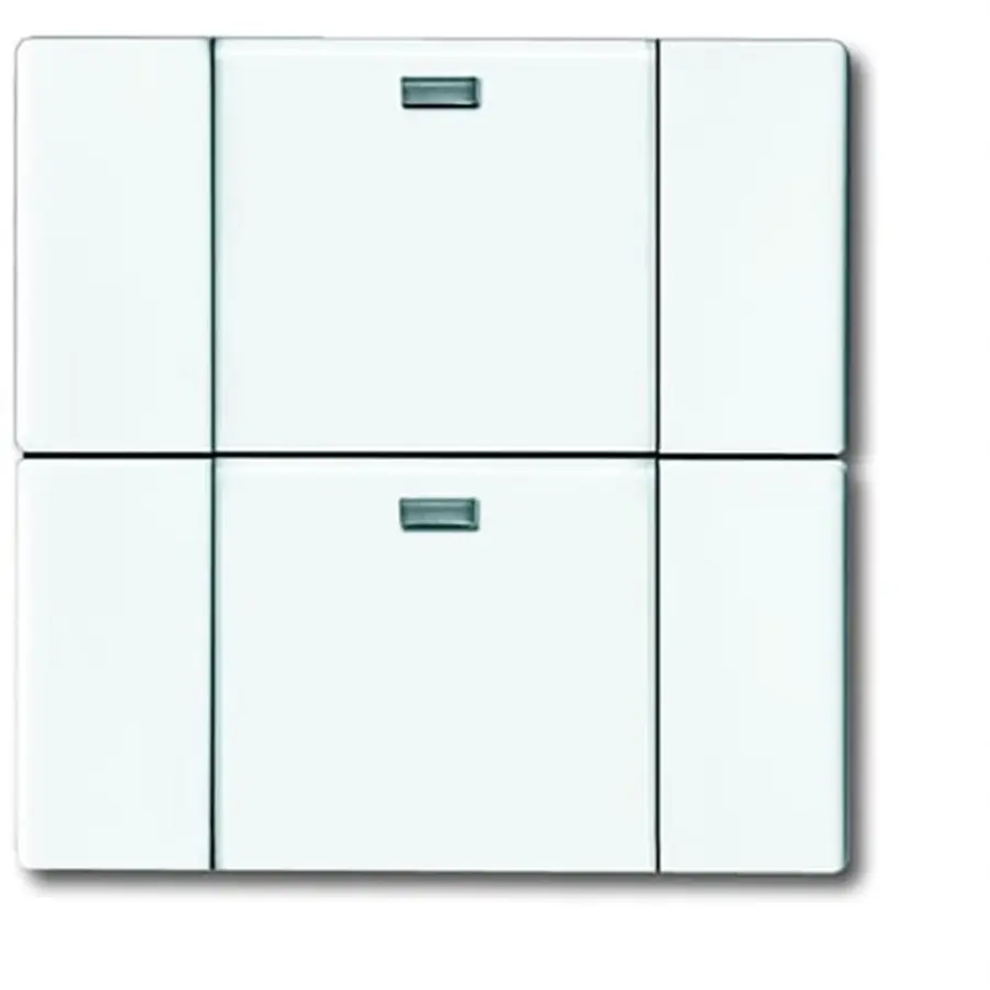 Busch-Jaeger wandzend 2k 6732-84 stw wl (6732-84-500)