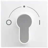 Busch-Jaeger afdekking met opdruk voor inbouwsleutelschakelaar Balance SI (2557 SLPZ-914-101)