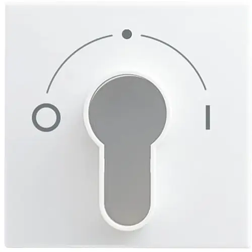 Busch-Jaeger afdekking met opdruk voor inbouwsleutelschakelaar Balance SI (2557 SLPZ-914-101)