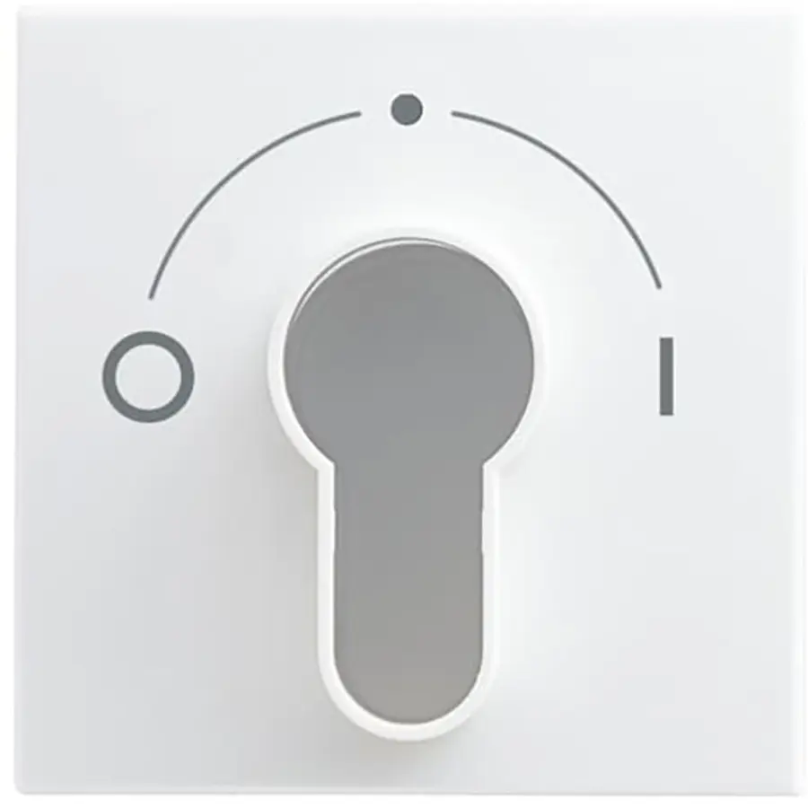 Busch-Jaeger afdekking met opdruk voor inbouwsleutelschakelaar Balance SI (2557 SLPZ-914-101)