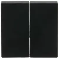 Busch-Jaeger Friends of Hue schakelwip 2-voudig Future Linear zwart mat (6736 FoH-885)