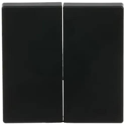 Busch-Jaeger Friends of Hue schakelwip 2-voudig Future Linear zwart mat (6736 FoH-885)