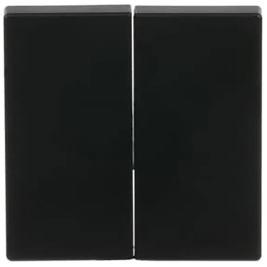 Busch-Jaeger Friends of Hue schakelwip 2-voudig Future Linear zwart mat (6736 FoH-885)