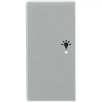 Busch-Jaeger bedieningswip links symbool licht tbv bedieningselement flex 2-voudig Future Linear aluzilver (6231-21-83)