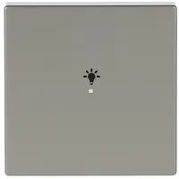 Busch-Jaeger bedieningswip 1-voudig met symbool licht Pure Stainless Steel (6231-10-866)