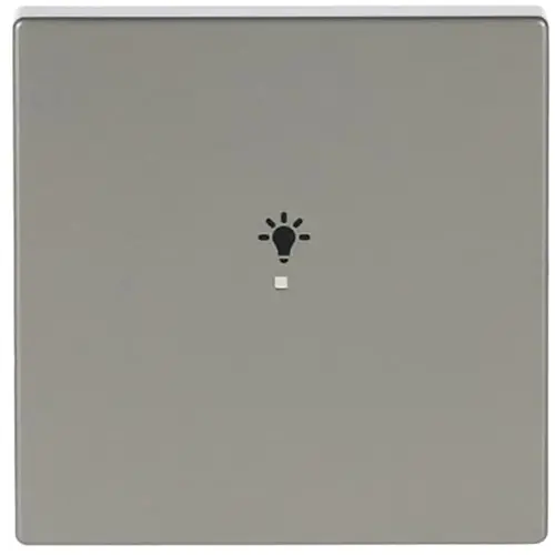 Busch-Jaeger bedieningswip 1-voudig met symbool licht Pure Stainless Steel (6231-10-866)