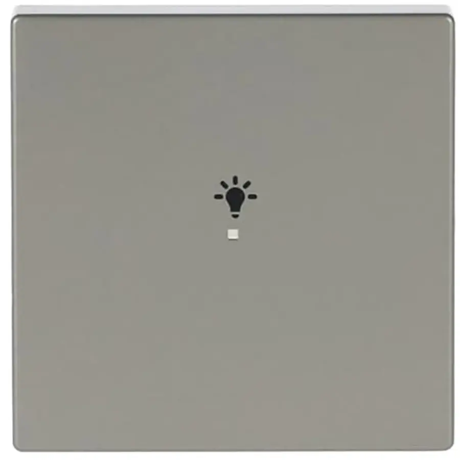 Busch-Jaeger bedieningswip 1-voudig met symbool licht Pure Stainless Steel (6231-10-866)