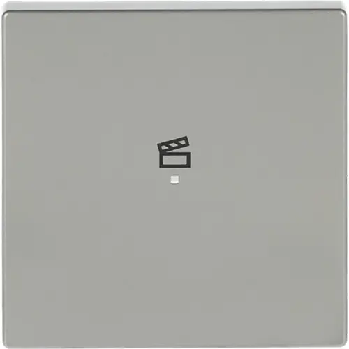 Busch-Jaeger bedieningswip 1-voudig met symbool scene tbv bedieningselement flex Pure Stainless Steel (6233-10-866)