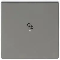 Busch-Jaeger bedieningswip 1-voudig met symbool dimmer Pure Stainless Steel (6234-10-866)
