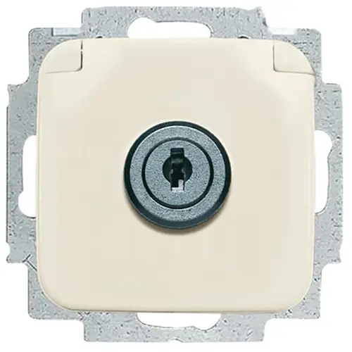 Busch-Jaeger wcd ra sl g 20euksl-212 si (20 EUKSL-212-101)