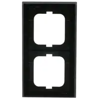 Busch-Jaeger afdekraam 2-voudig Axcent leisteen grijs (1722-290)