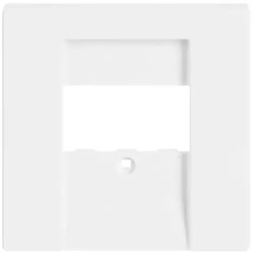 Busch-Jaeger centraalplaat USB / luidspreker studiowit glans (1766-84)