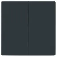 Busch-Jaeger schakelwip 2-voudig Future Linear antraciet glans (1785-81)