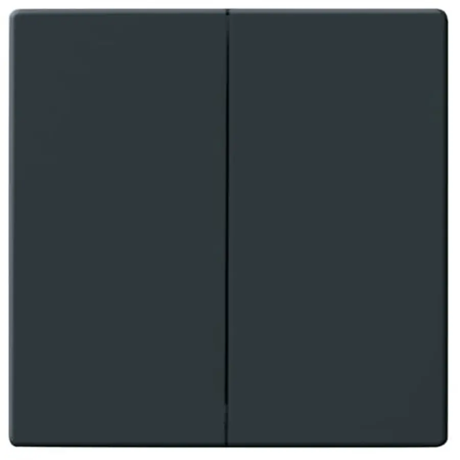 Busch-Jaeger schakelwip 2-voudig Future Linear antraciet glans (1785-81)