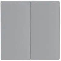 Busch-Jaeger schakelwip 2-voudig Future Linear aluzilver (1785-83)