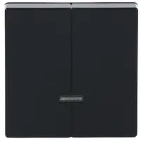 Busch-Jaeger dimmerknop serietastdimmer met controlevenster Future Linear antraciet glans (6545-81)