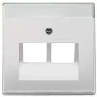 Busch-Jaeger centraalplaat RJ45 wandcontactdoos 2-voudig Pure Stainless Steel (1803-02-866)