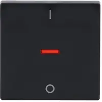 Busch-Jaeger schakelwip controlevenster rood 2-polig en 3-polig Future Linear antraciet glans (1788-81)