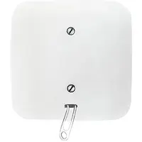 Busch-Jaeger trekschakelaar volle afdekplaat Reflex SI (2610/6 UJ-214)