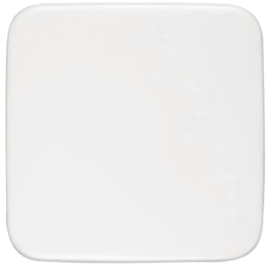 Busch-Jaeger blindplaat 1576c-214 miva (1576 C-214)