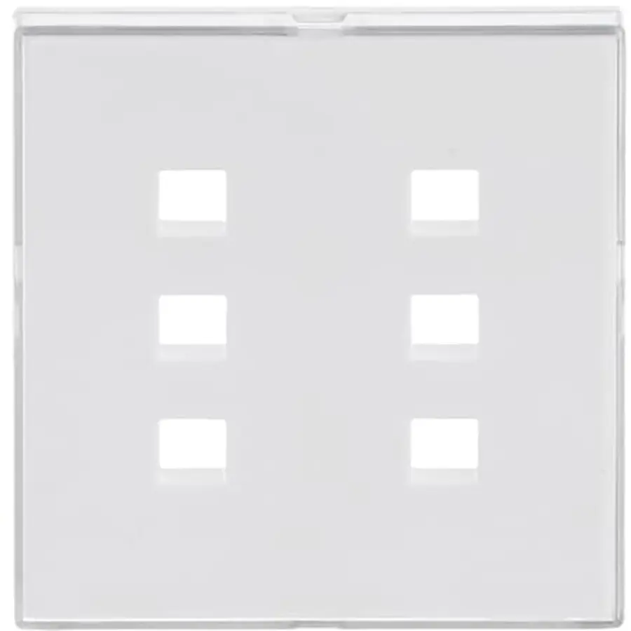 Busch-Jaeger miva centrpl 6v stw infol (1575 CN-84)